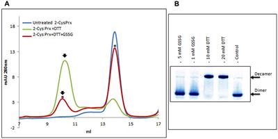 Glutathionylation of Pea Chloroplast 2-Cys Prx and Mitochondrial Prx IIF Affects Their Structure and Peroxidase Activity and Sulfiredoxin Deglutathionylates Only the 2-Cys Prx